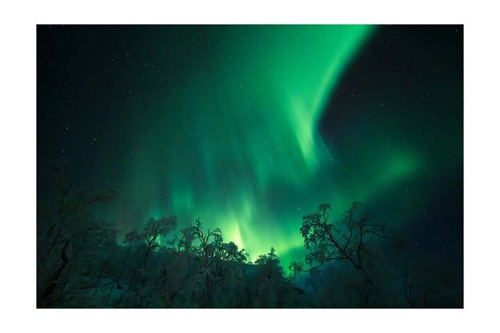 Kiruna: Aurora Chase with Street Food Dinner & Nature Guides
