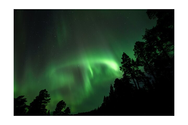 Kiruna: Aurora Chase with Street Food Dinner & Nature Guides