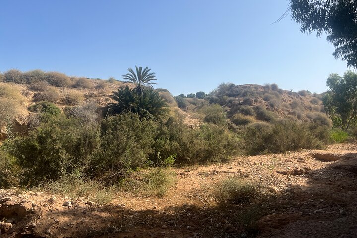 Essaouira Waterfall Hike & Coastal Walk with Tagine, Fishing