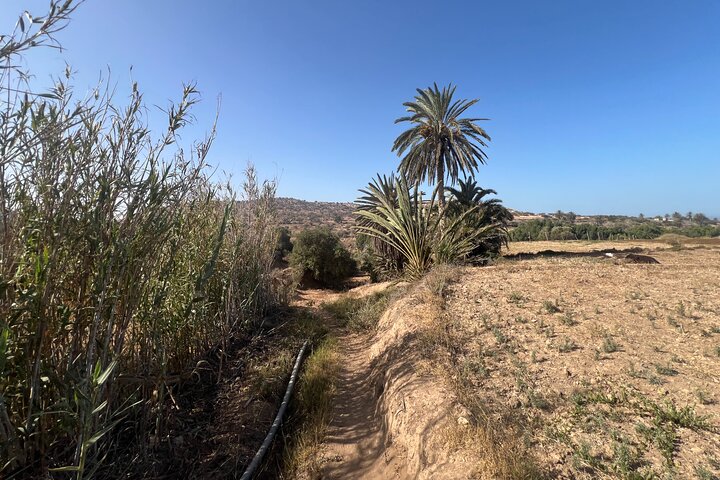 Essaouira Waterfall Hike & Coastal Walk with Tagine, Fishing