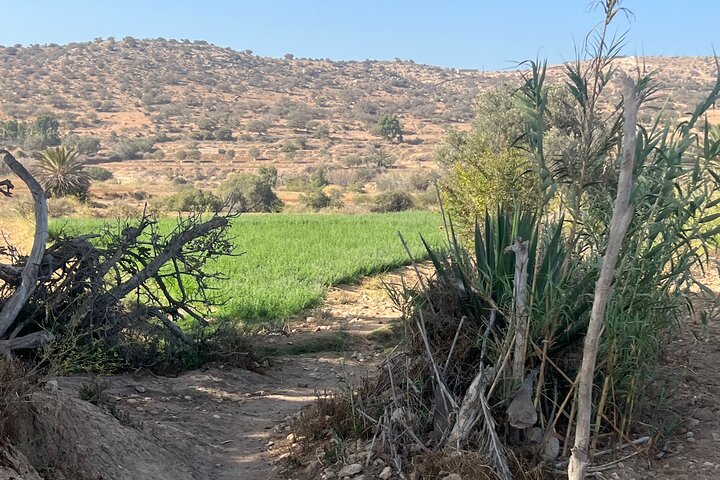 Essaouira Waterfall Hike & Coastal Walk with Tagine, Fishing