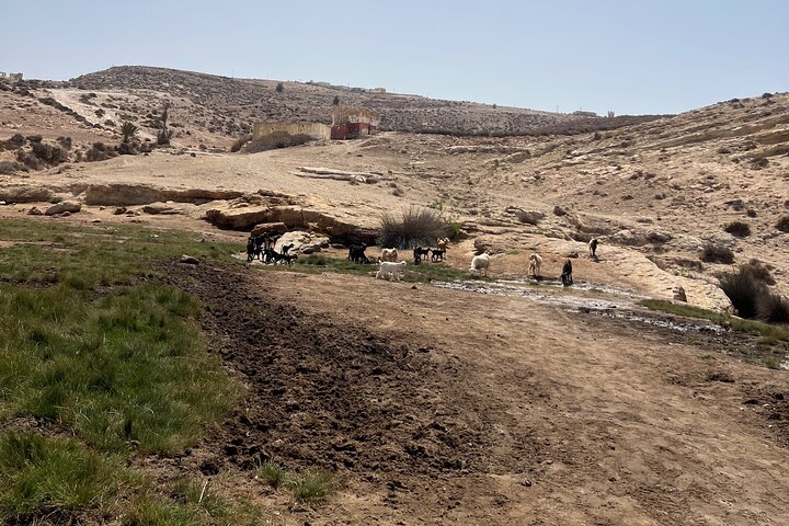 Essaouira Waterfall Hike & Coastal Walk with Tagine, Fishing