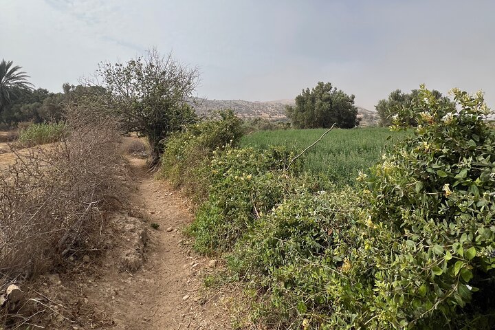 Essaouira Waterfall Hike & Coastal Walk with Tagine, Fishing