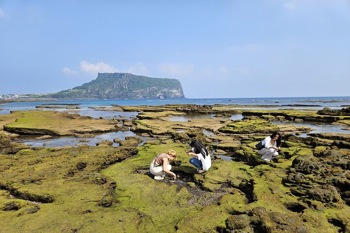 Jeju Shore Excursion for Cruise Passengers: UNESCO & Highlights