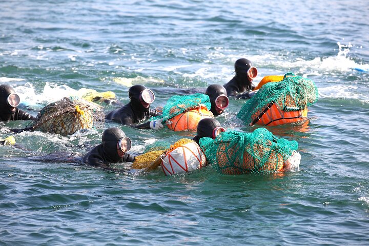 Jeju Shore Excursion for Cruise Passengers: UNESCO & Highlights