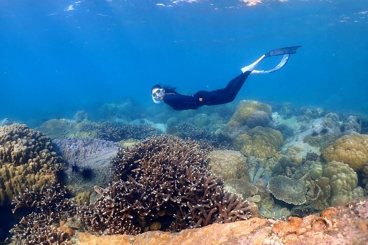 Pattaya Full-Day 3 Tropical Island tour Snorkeling Cruise Buffet