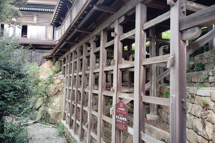 Lake Biwa: Mystical Chikubu Island Boat Tour from Many Ports