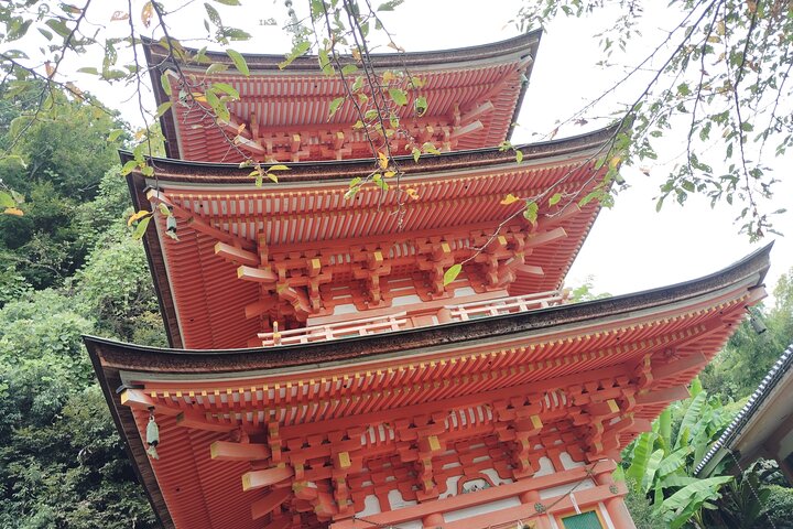 Lake Biwa: Mystical Chikubu Island Boat Tour from Many Ports