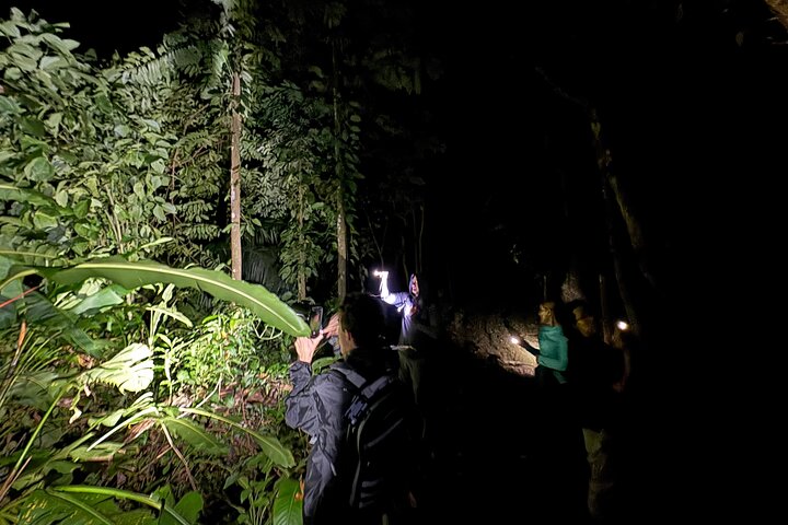 Night Walk in Puerto Jimenez Wildlife and Nature