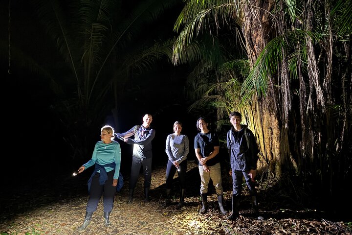 Night Walk in Puerto Jimenez Wildlife and Nature