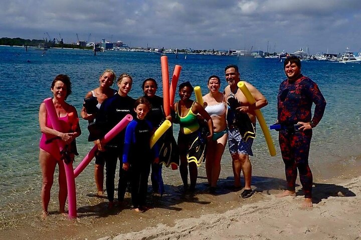Guided Snorkel Tour Phil Foster Park (HIGH TIDE ONLY-FREE VIDEOS)