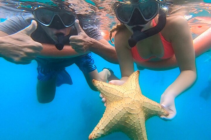 Guided Snorkel Tour Phil Foster Park (HIGH TIDE ONLY-FREE VIDEOS)