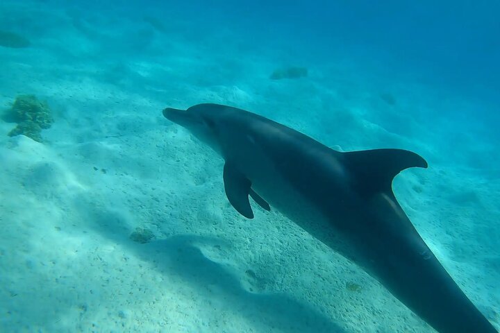 Luxury Cruise to Orange Bay and Hula Hula island Trip