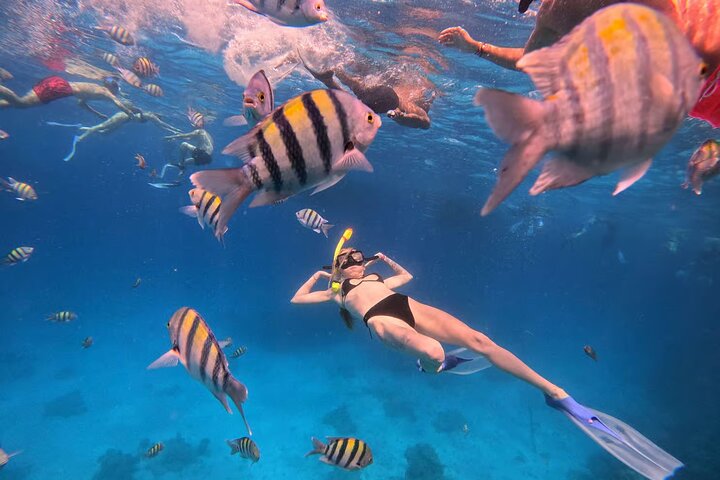 Luxury Cruise to Orange Bay and Hula Hula island Trip