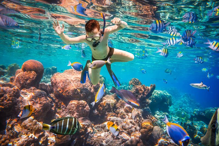 Luxury Cruise to Orange Bay and Hula Hula island Trip