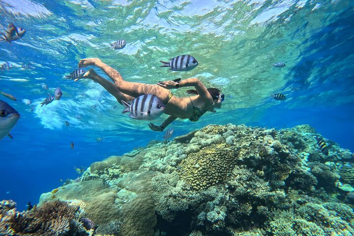 Luxury Cruise to Orange Bay and Hula Hula island Trip