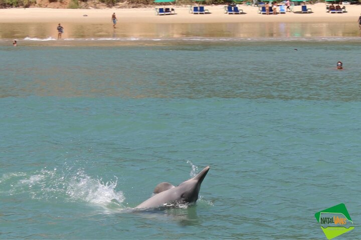 1 Day Tour to Pipa Beach / RN - Departing from Natal / RN