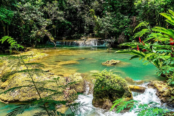 YS Falls and Black River Safari South Coast from Negril Jamaica