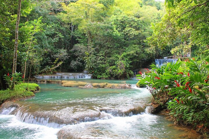 YS Falls and Black River Safari South Coast from Negril Jamaica