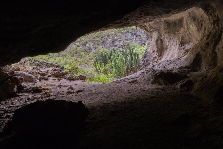 ATV/Quad Adventure on the Mountain + Prehistoric Caves