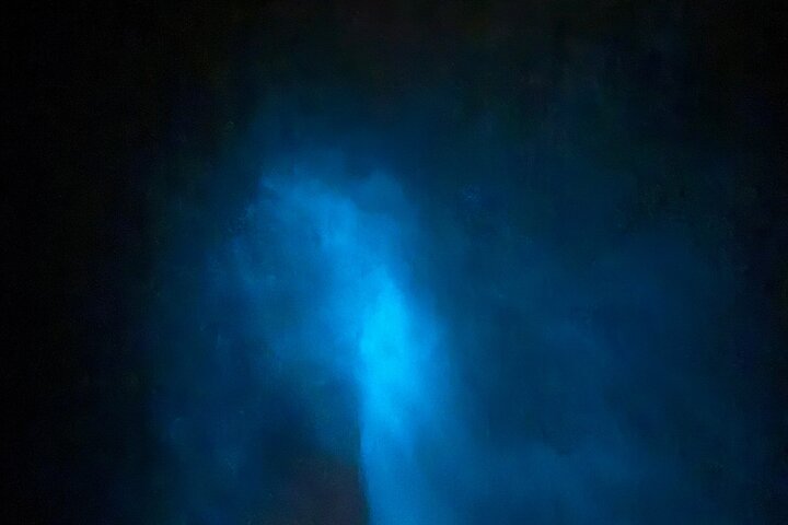 Bioluminescence Tour in Punta Cocos Holbox