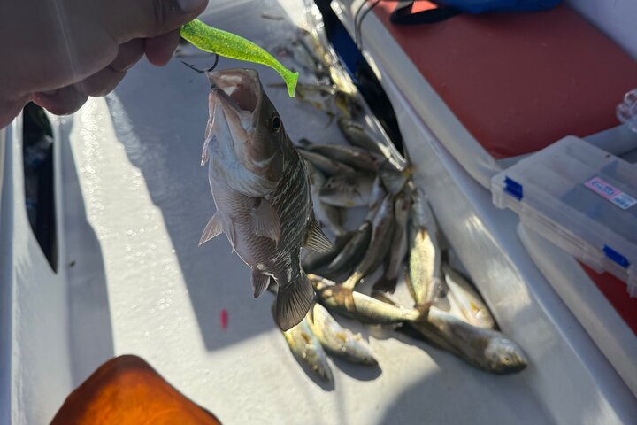 Private Fishing Tour in Holbox Island with Lunch and Pick up