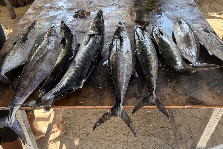 Private Fishing Tour in Holbox Island with Lunch and Pick up
