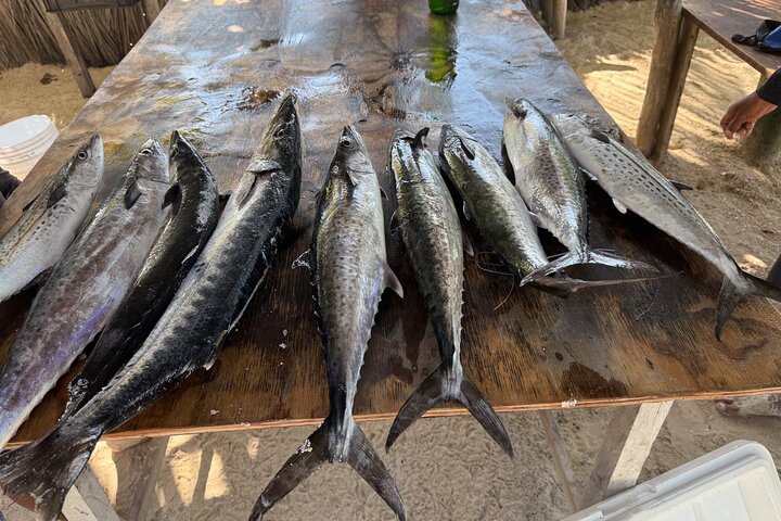 Private Fishing Tour in Holbox Island with Lunch and Pick up