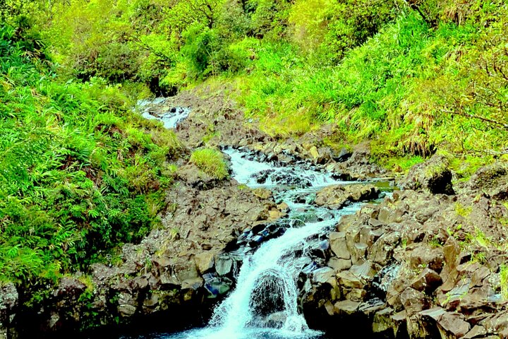 Rainforest Tour to Hana and Beyond