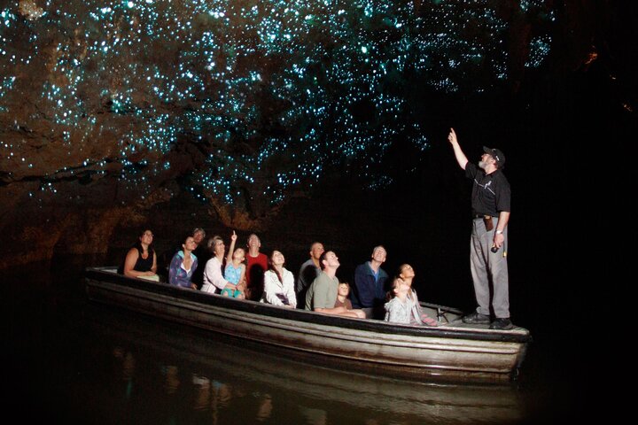 Auckland to Waitomo Glowworms, Kiwi House & Blue Springs Day Tour