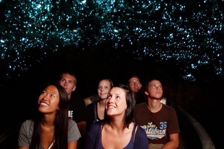 Auckland to Waitomo Glowworms, Kiwi House & Blue Springs Day Tour