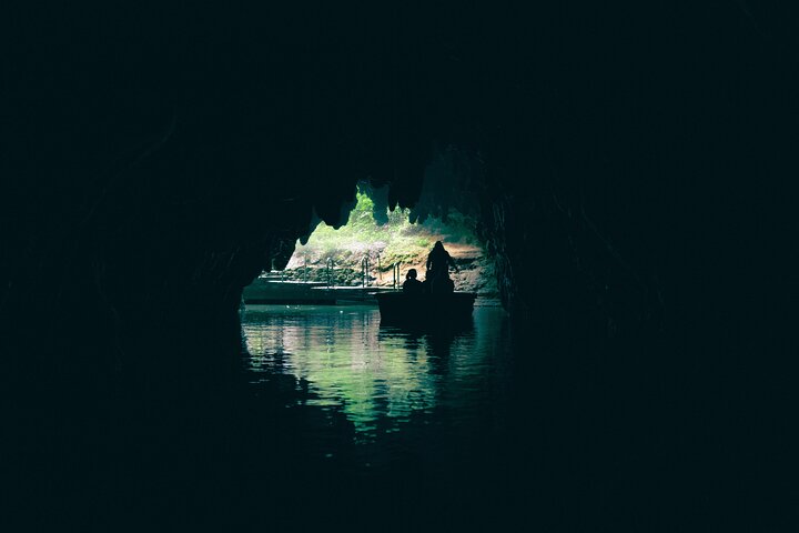 Auckland to Waitomo Glowworms, Kiwi House & Blue Springs Day Tour