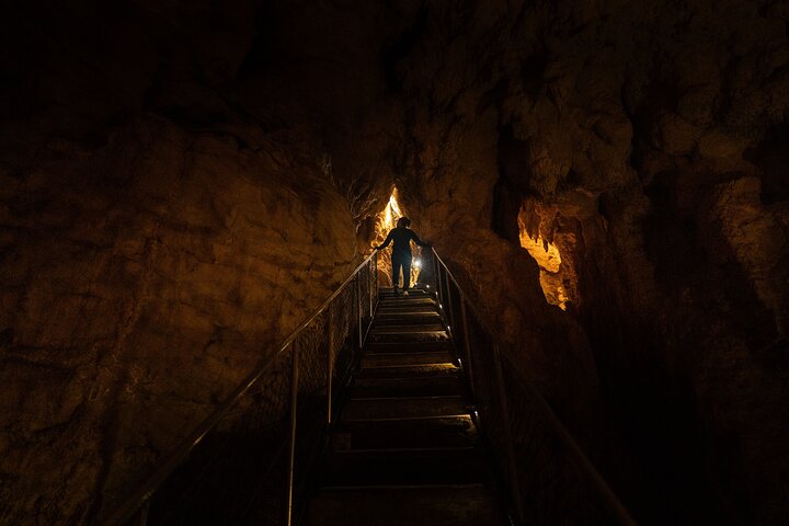 Auckland to Waitomo Glowworms, Kiwi House & Blue Springs Day Tour
