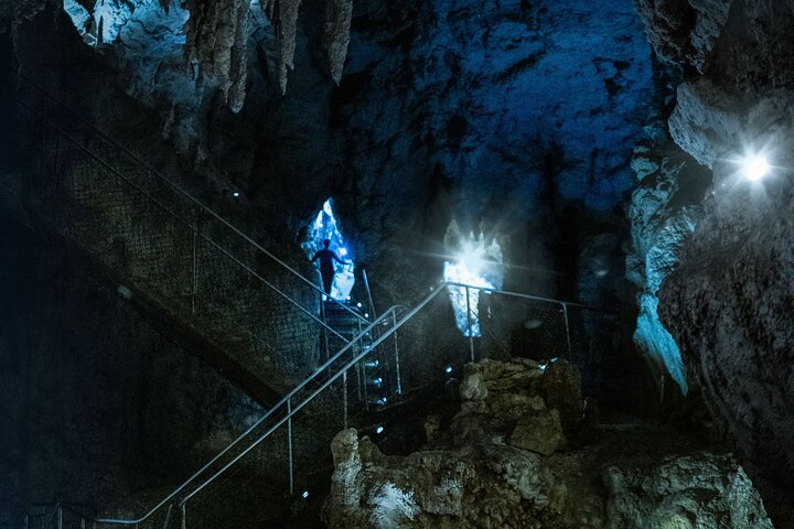 Auckland to Waitomo Glowworms, Kiwi House & Blue Springs Day Tour