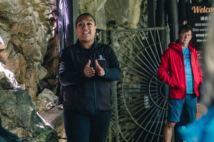 Auckland to Waitomo Glowworms, Kiwi House & Blue Springs Day Tour