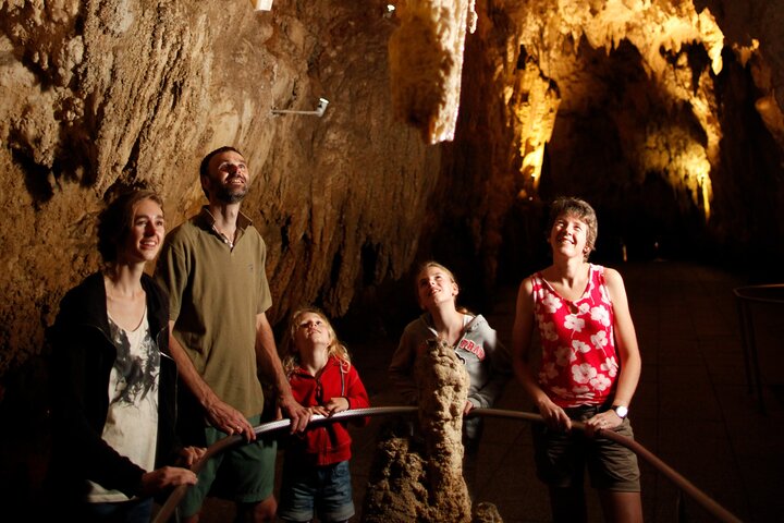 Auckland to Waitomo Glowworms, Kiwi House & Blue Springs Day Tour
