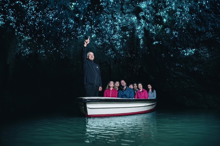 Auckland to Waitomo Glowworms, Kiwi House & Blue Springs Day Tour