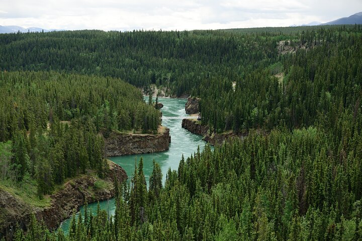 Yukon River Boat Tour Through Miles Canyon