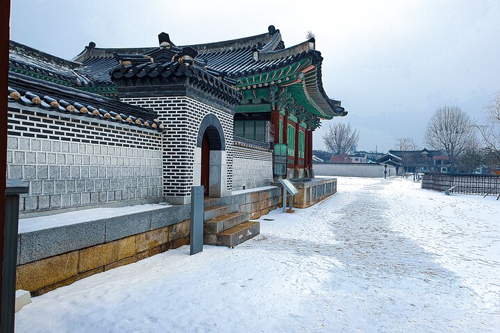 Suwon Fortress and Palace Tour with Optional Food Experience