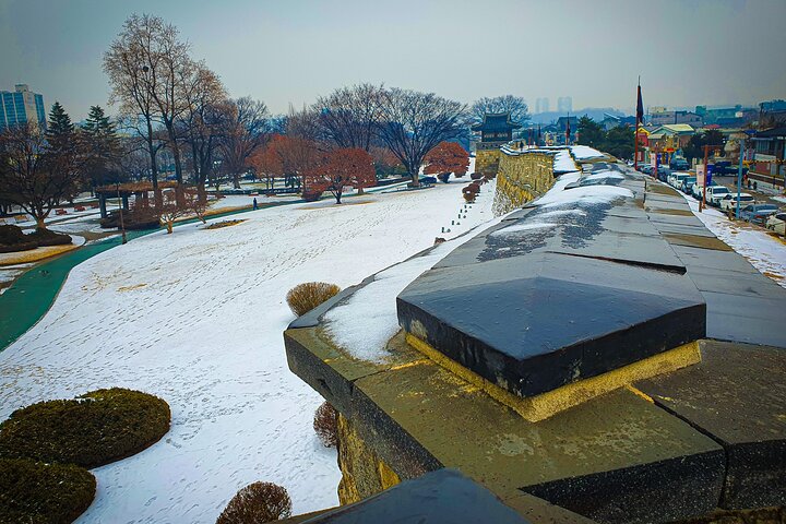 Suwon Fortress and Palace Tour with Optional Food Experience