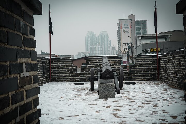 Suwon Fortress and Palace Tour with Optional Food Experience