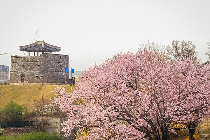 Suwon Fortress and Palace Tour with Optional Food Experience