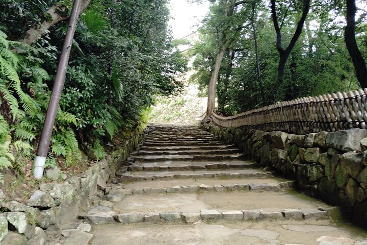 Shiga: Future World Heritage Site Hikone Castle Guided Tour