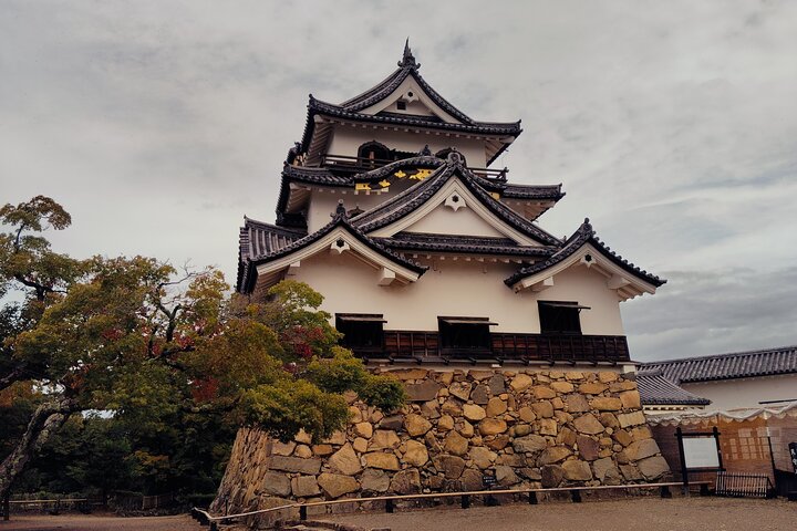 Shiga: Future World Heritage Site Hikone Castle Guided Tour