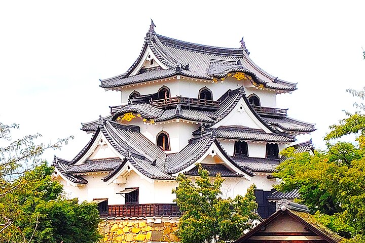 Shiga: Future World Heritage Site Hikone Castle Guided Tour