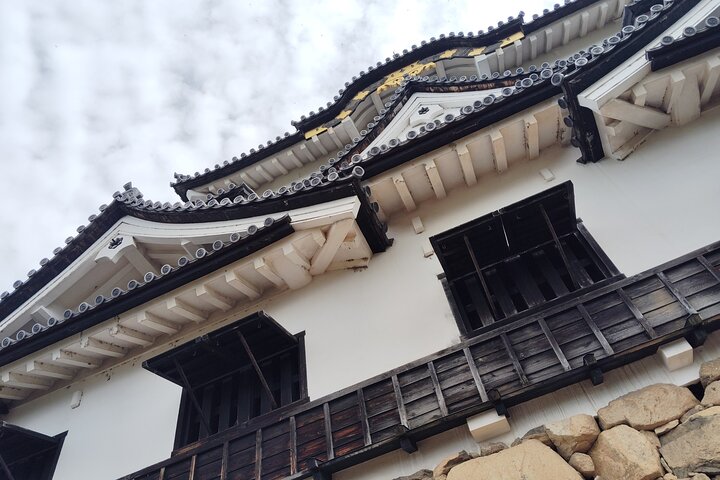 Shiga: Future World Heritage Site Hikone Castle Guided Tour