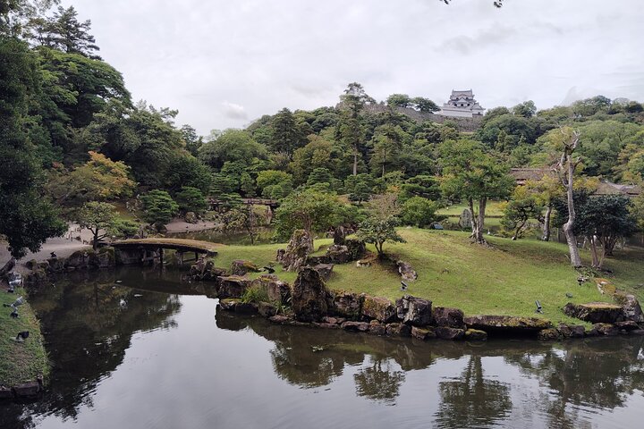 Shiga: Future World Heritage Site Hikone Castle Guided Tour