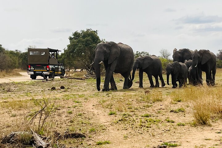 Kruger National Park Morning Safari Experience (Minimum 2 Peope)