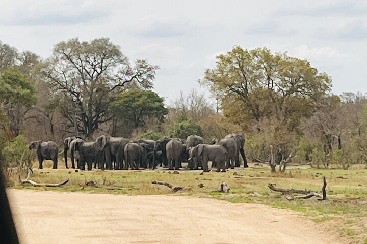Kruger National Park Morning Safari Experience (Minimum 2 Peope)
