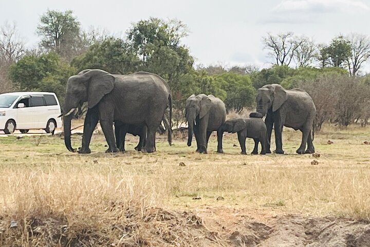 Kruger National Park Morning Safari Experience (Minimum 2 Peope)